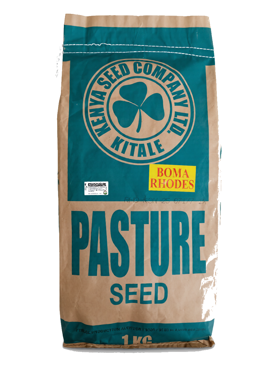 Simlaw Boma Rhodes Pasture Seed