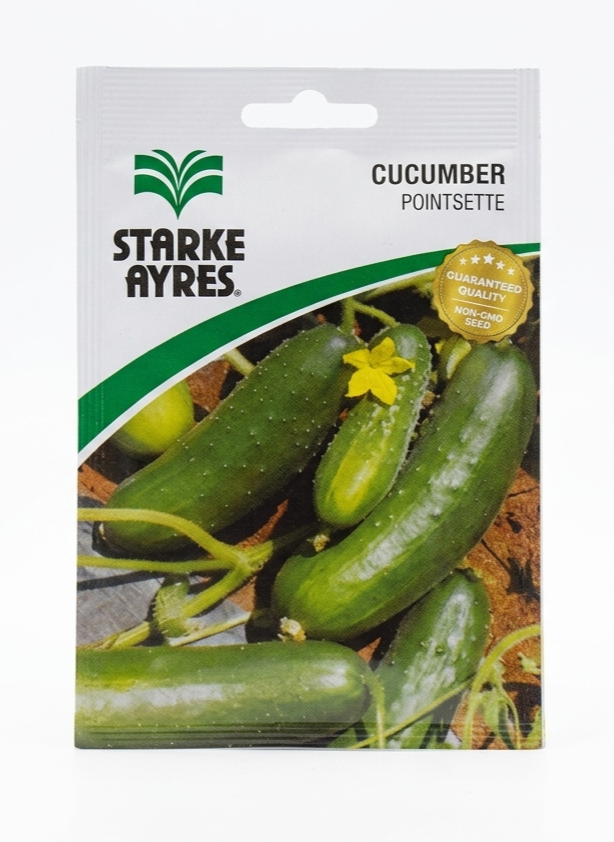 Cucumber Pointsette (Starke Ayres)